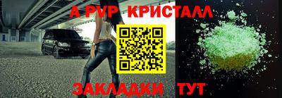стаф Малгобек
