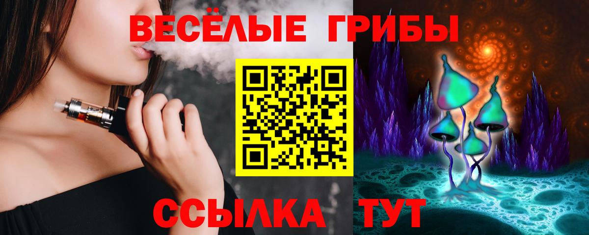Псилоцибиновые грибы Psilocybe  Псилоцибиновые грибы MAGIC MUSHROOMS  Вход с VPN  Тимашёвск 